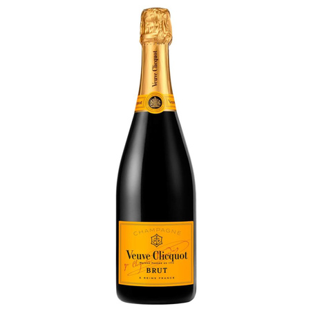SZAMPAN VEUVE CLICQUOT BRUT ICE JACKET - PUFFY BOTTLE HOLDER 12,5% 0,75L B WY